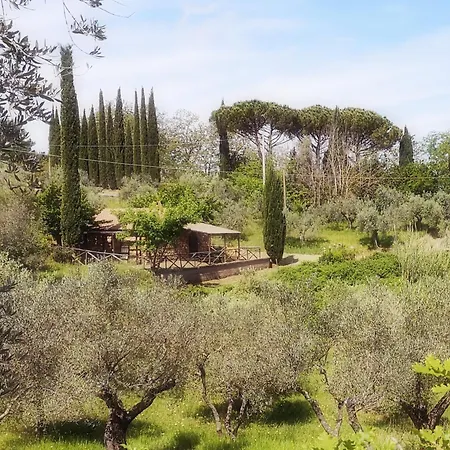 Agriturismo Fattoria La Prugnola Montescudaio Exterior photo