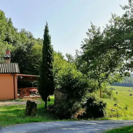 Agriturismo Fattoria La Prugnola Montescudaio Room photo