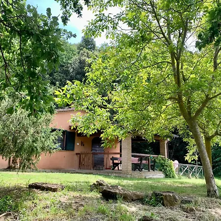 Agriturismo Fattoria La Prugnola Montescudaio Exterior photo