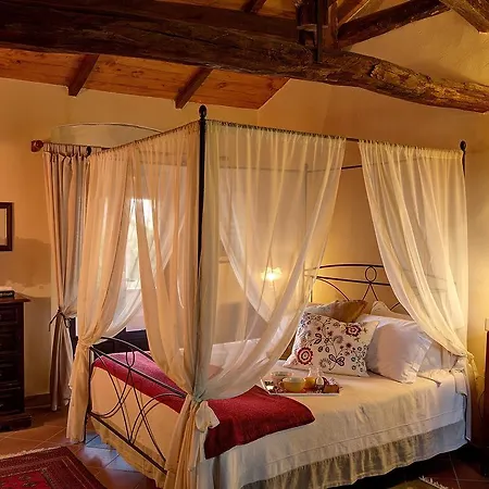 Agriturismo Fattoria La Prugnola Montescudaio Room photo
