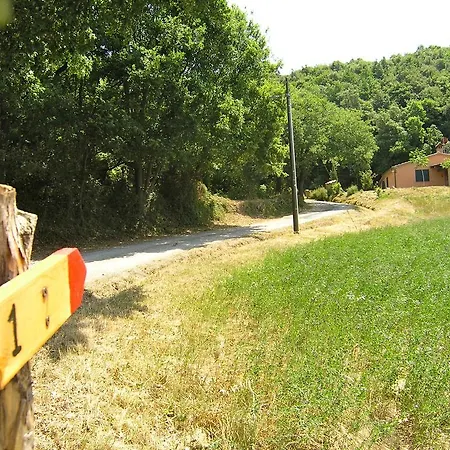 Agriturismo Fattoria La Prugnola Montescudaio Room photo