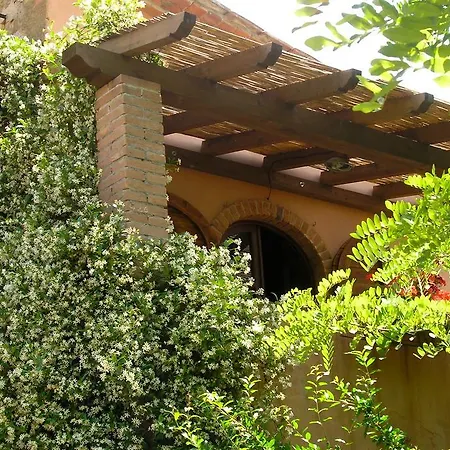 Agriturismo Fattoria La Prugnola Montescudaio Room photo