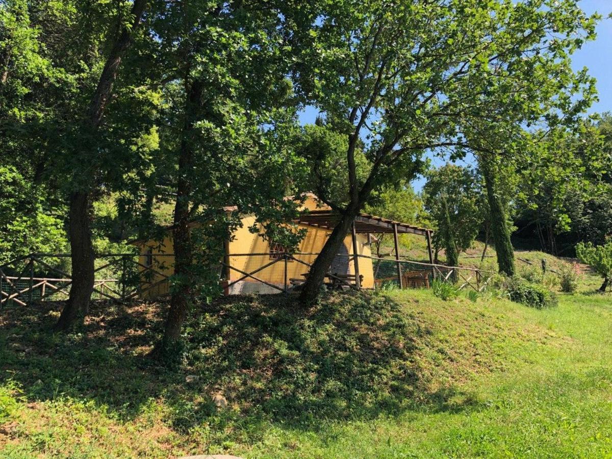 Fattoria La Prugnola Bauernhof *