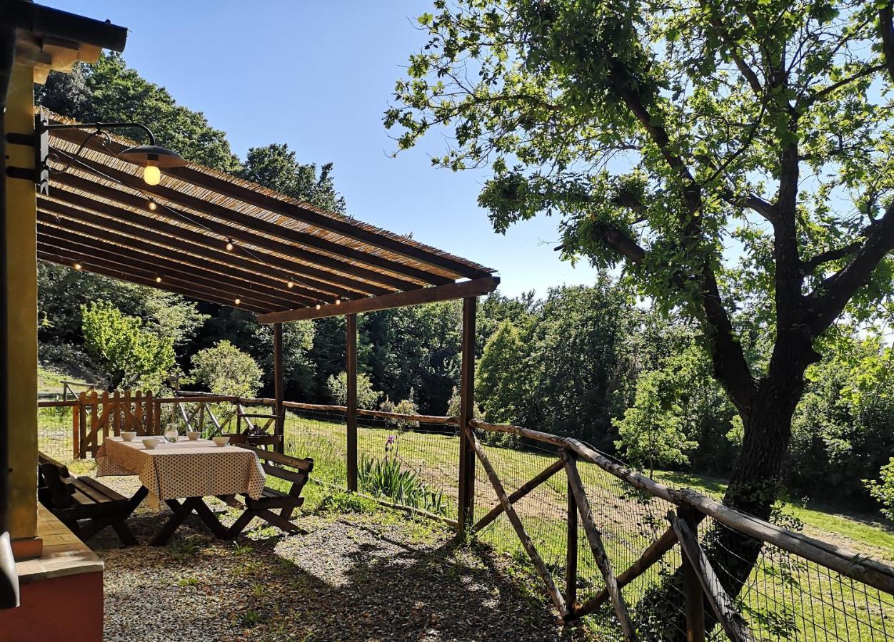 Alojamento de Turismo Rural Fattoria La Prugnola *