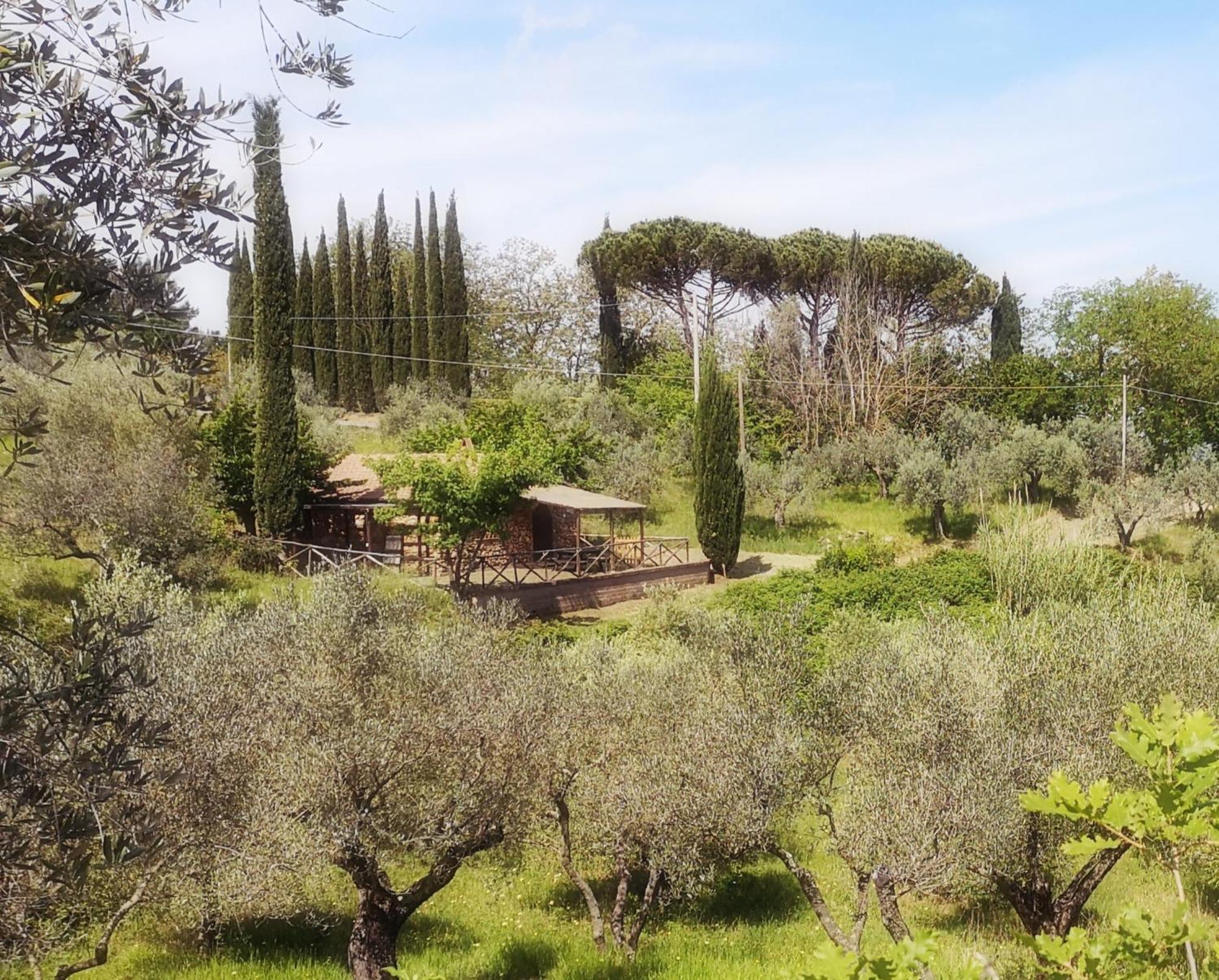 Bauernhof Fattoria La Prugnola *