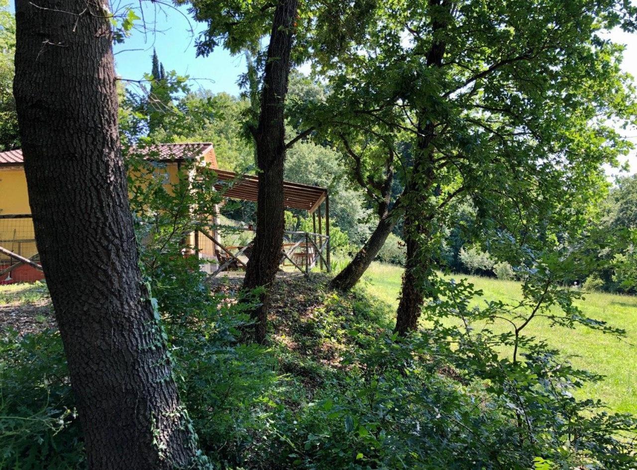 Fattoria La Prugnola Bauernhof *