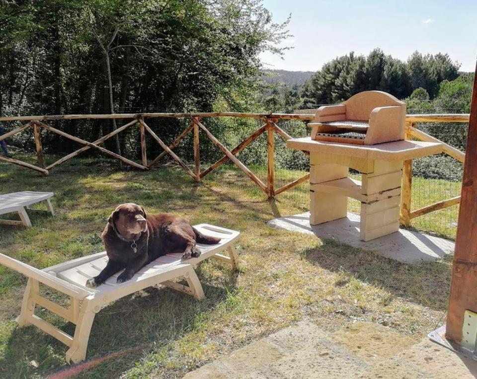Alojamento de Turismo Rural Fattoria La Prugnola
