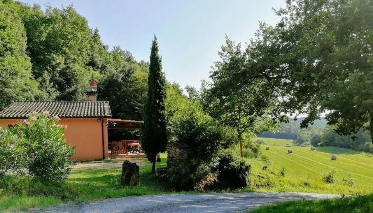 Fattoria La Prugnola Alojamento de Turismo Rural Montescudaio