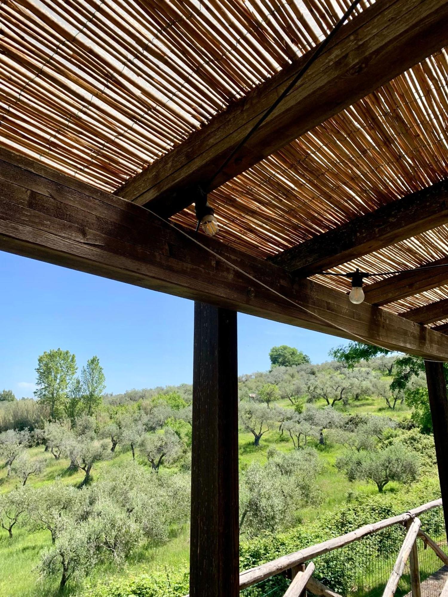 Fattoria La Prugnola Alojamento de Turismo Rural