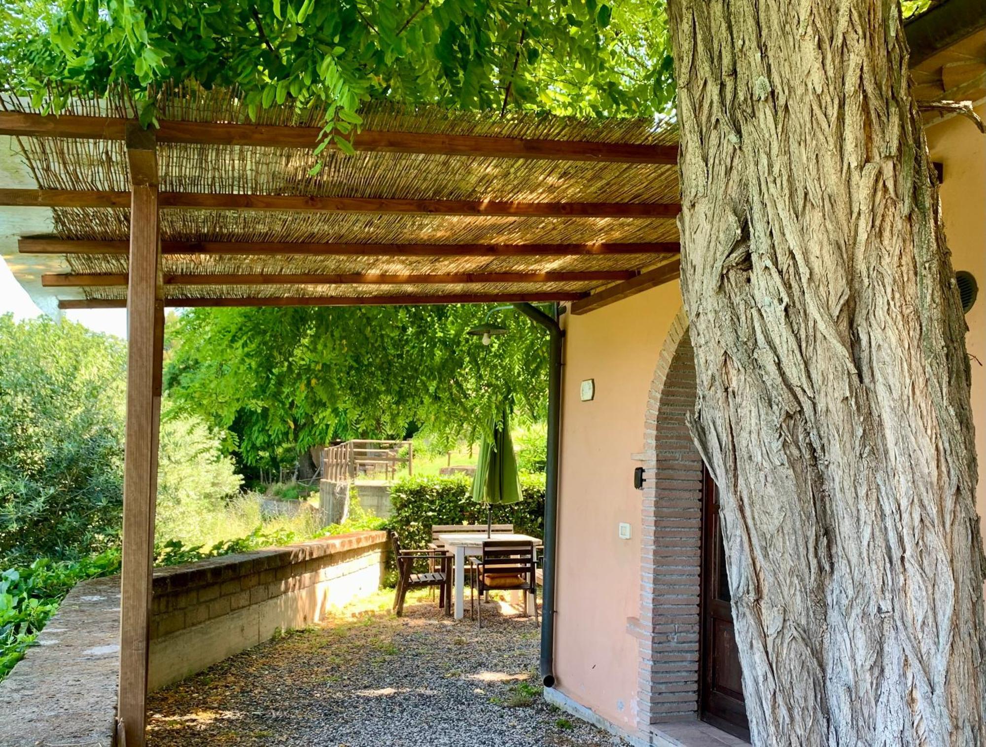 Fattoria La Prugnola