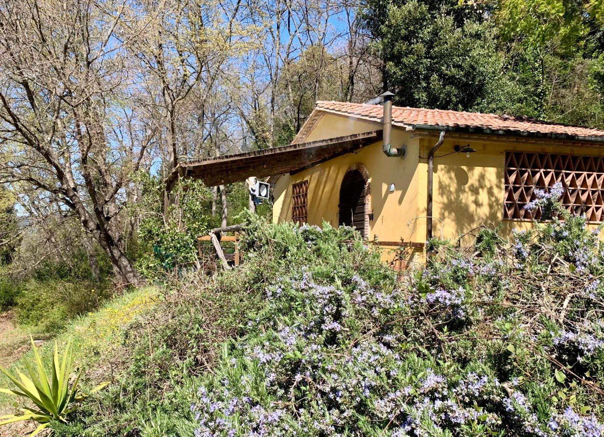 Alojamento de Turismo Rural Fattoria La Prugnola Montescudaio