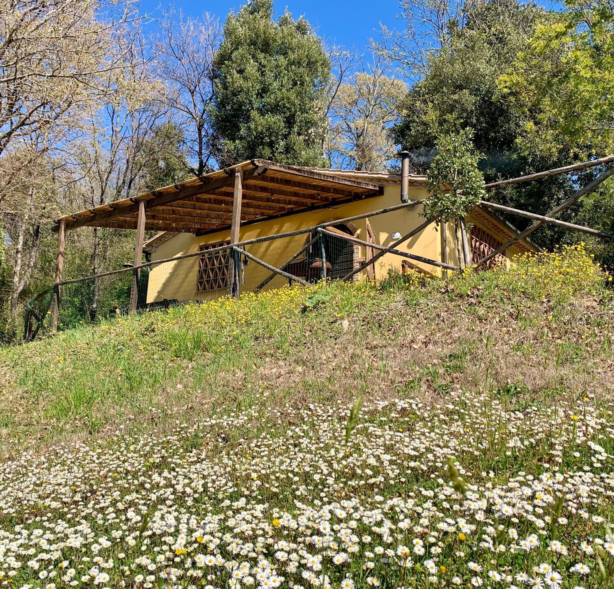 Fattoria La Prugnola Montescudaio