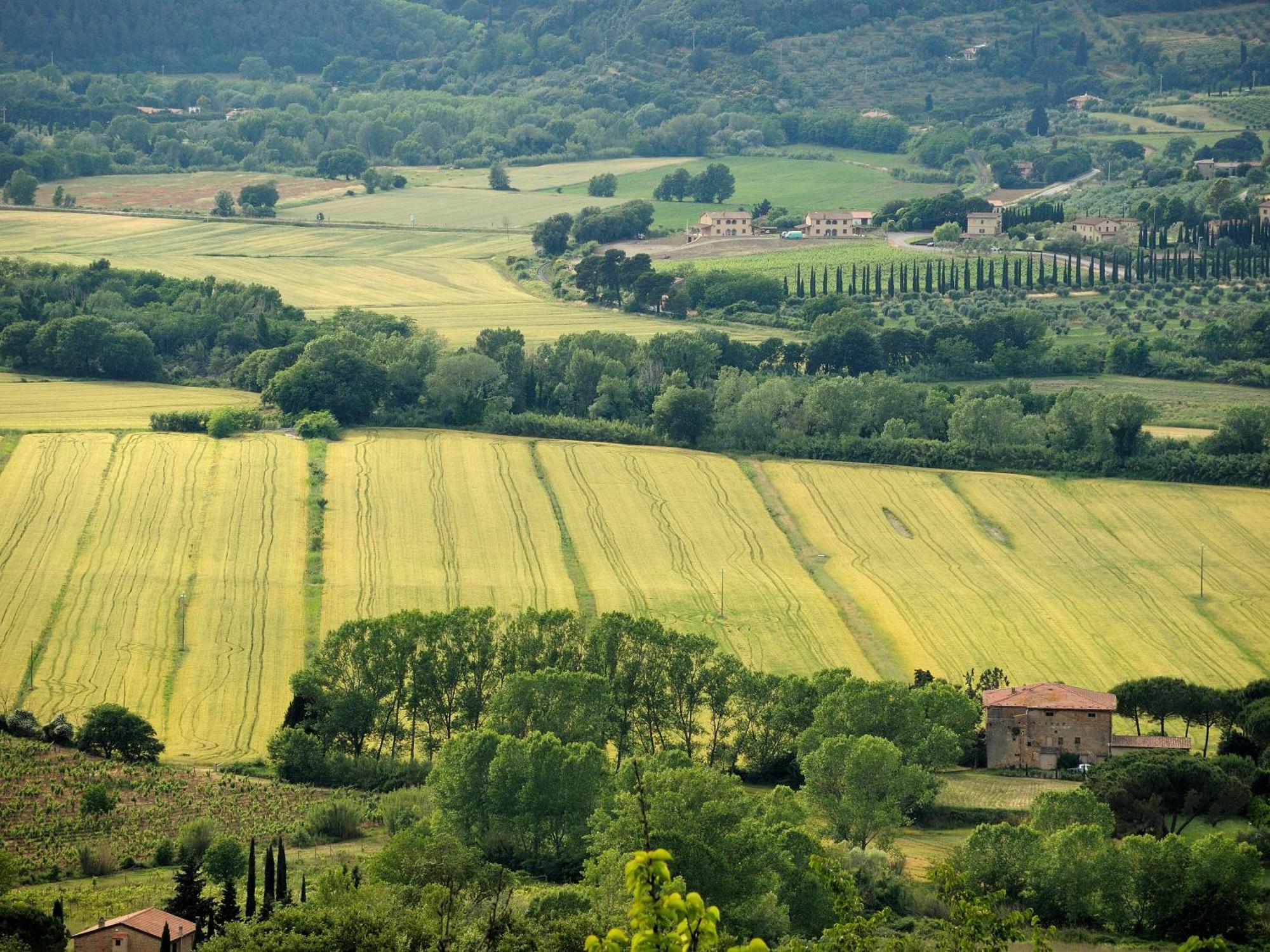 Alojamento de Turismo Rural Fattoria La Prugnola Montescudaio